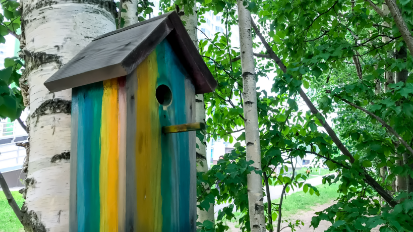 A Colorful Haven: Art Meets Nature